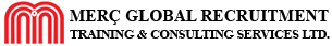 mercglobal.com.tr